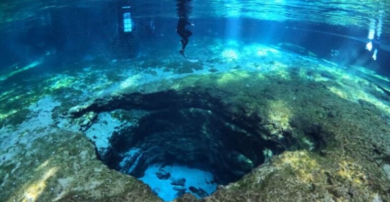 11 Florida Caves, Sinkholes, and Underground Wonders Worth Exploring