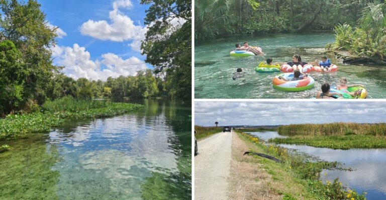 12 Things to Do Within 45 Minutes of Orlando When You’re Tired of Theme Parks