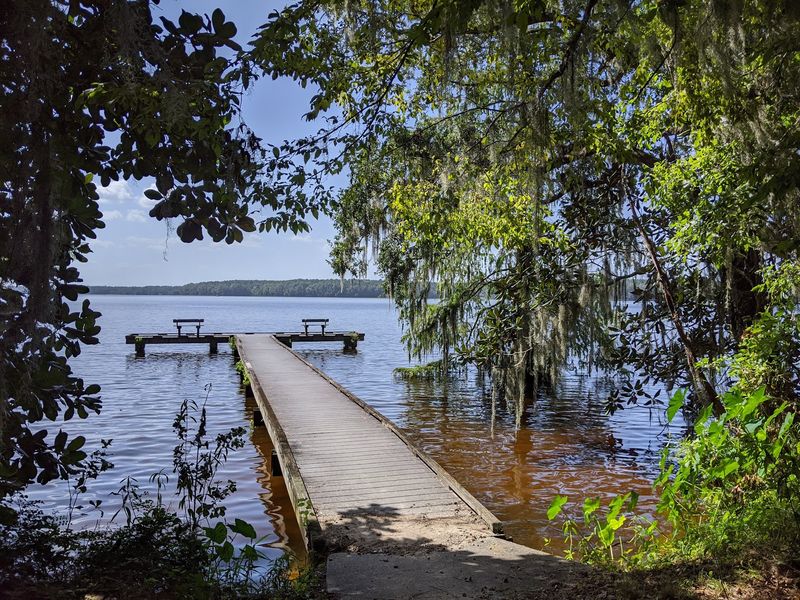 Fishing Opportunities That Draw Anglers Year-Round