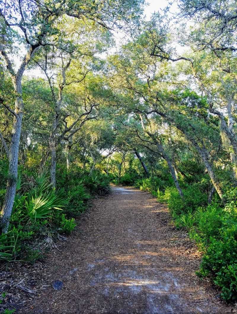 Mangroves and Shady Trails on the Lagoon Side