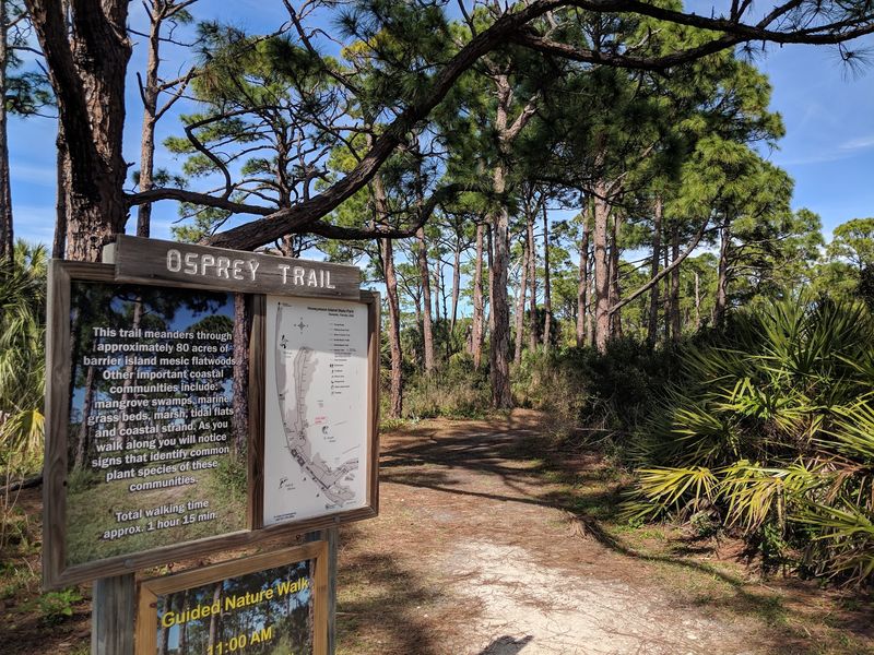 Honeymoon Island