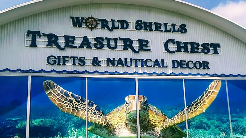 World Shells Treasure Chest - Crystal River