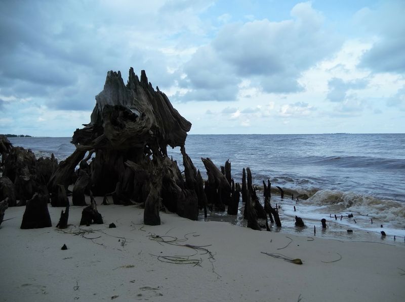 Uncrowded Beaches at Carrabelle Beach