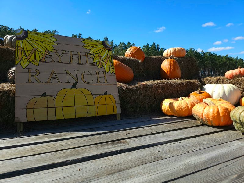 Mayhem Ranch - Morriston