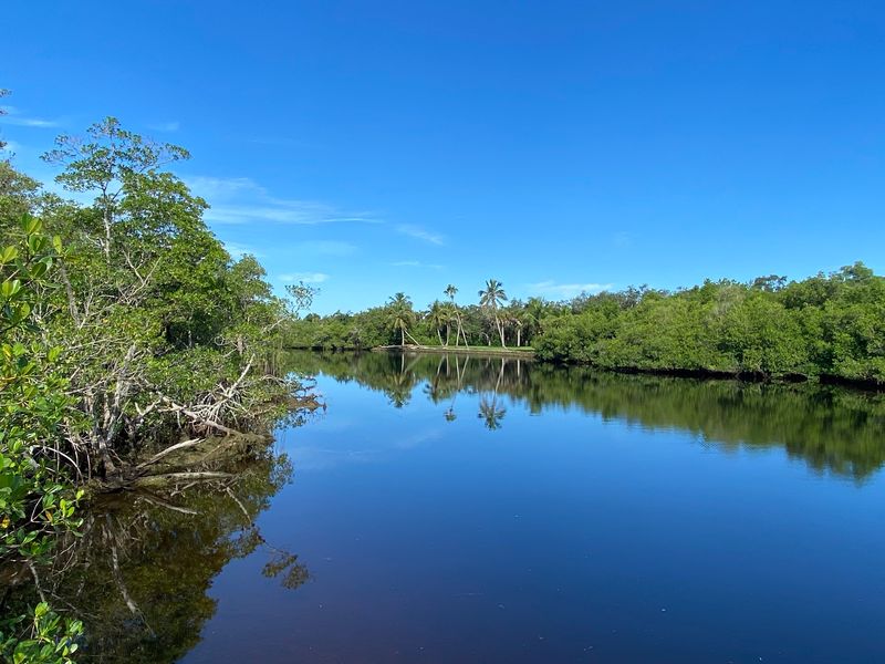 Rookery Bay Environmental Learning Center