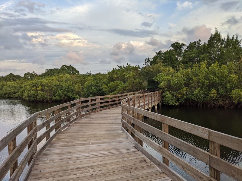 Emerson Point Preserve - Palmetto