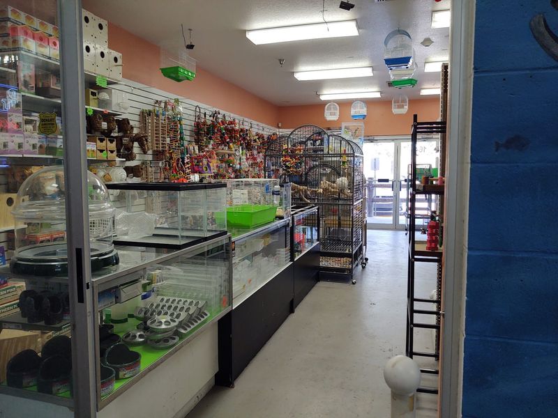 Tropical Petshop's Exotic Bird Paradise