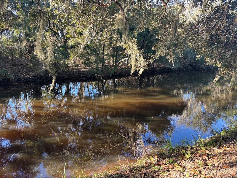 Egans Creek Greenway