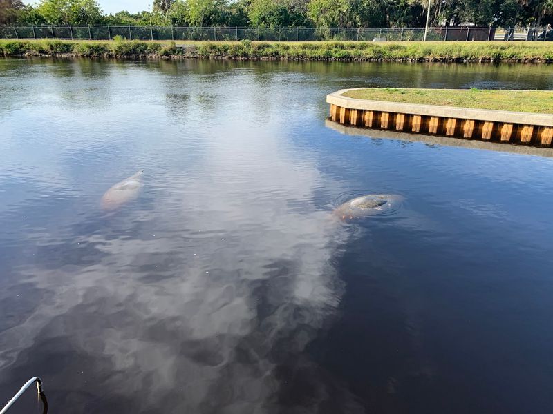 Manatee Park - Fort Myers