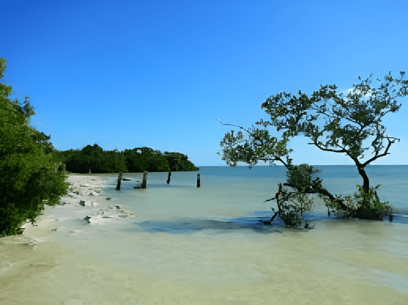 Shallow, Calm Water With a Wild Side