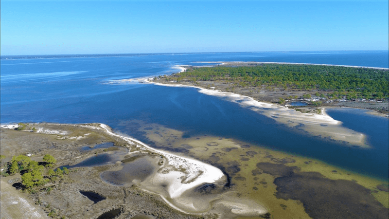 Kayaking and Nature in the Forgotten Coast