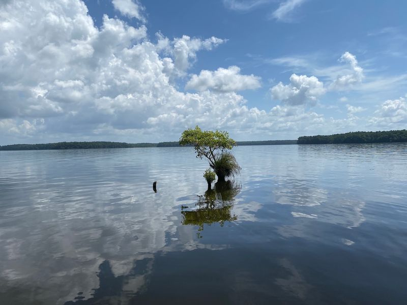 One of Florida’s Prettiest Lakes Is Tucked Inside This Under-the-Radar State Park