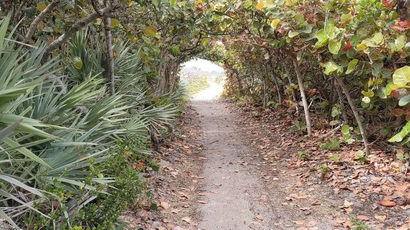 Parking, Hours, and Smart Visit Tips