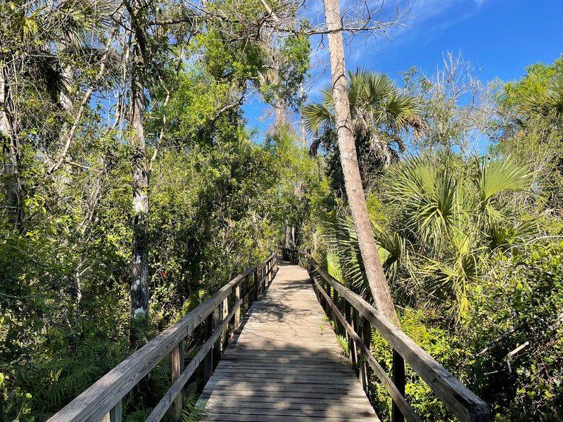 Big Cypress Bend Boardwalk - Ochopee