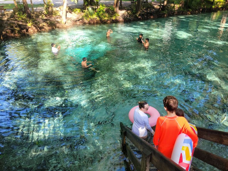 Crystal Clear Springs Perfect for Spontaneous Swimming
