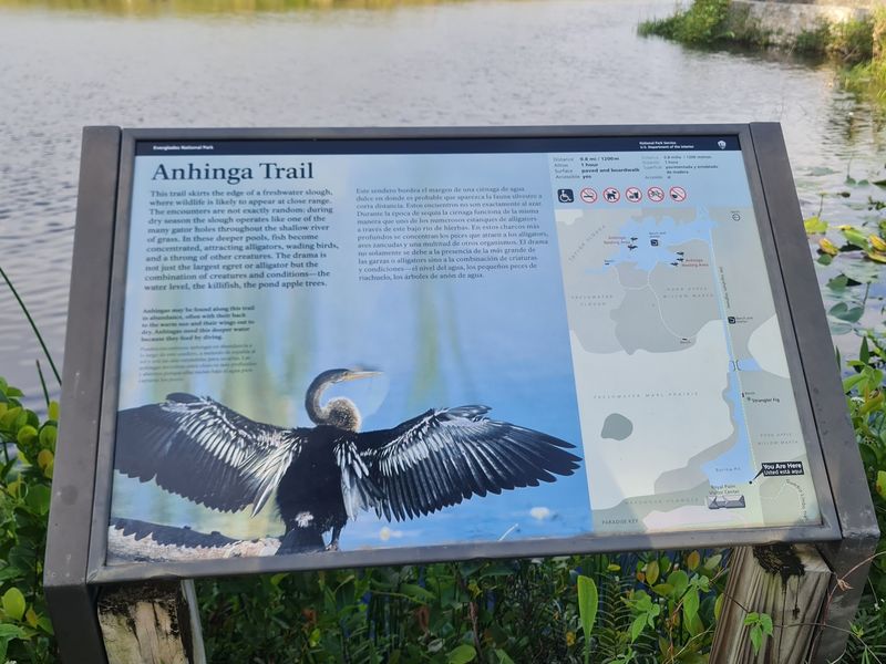 Anhinga Trail - Everglades National Park