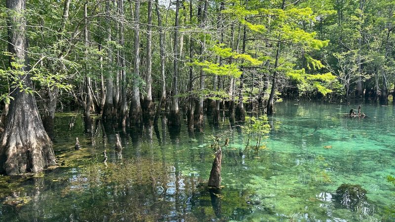 Natural Beauty and Wildlife Worth Protecting
