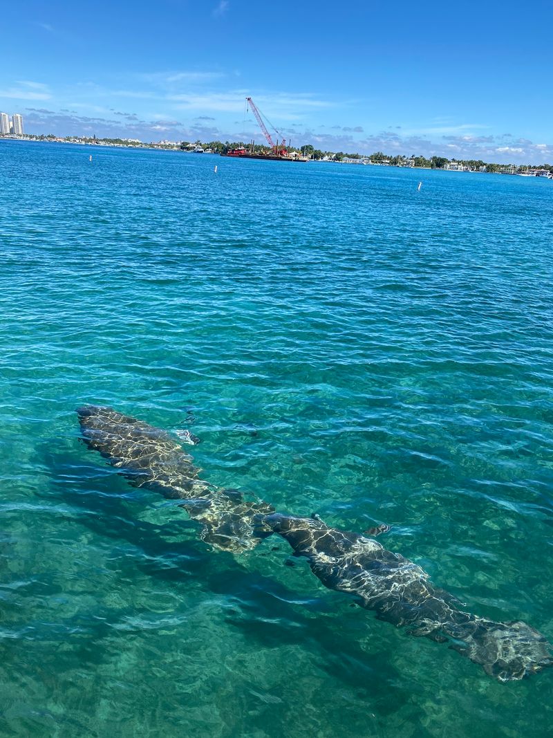 Manatee Lagoon - West Palm Beach