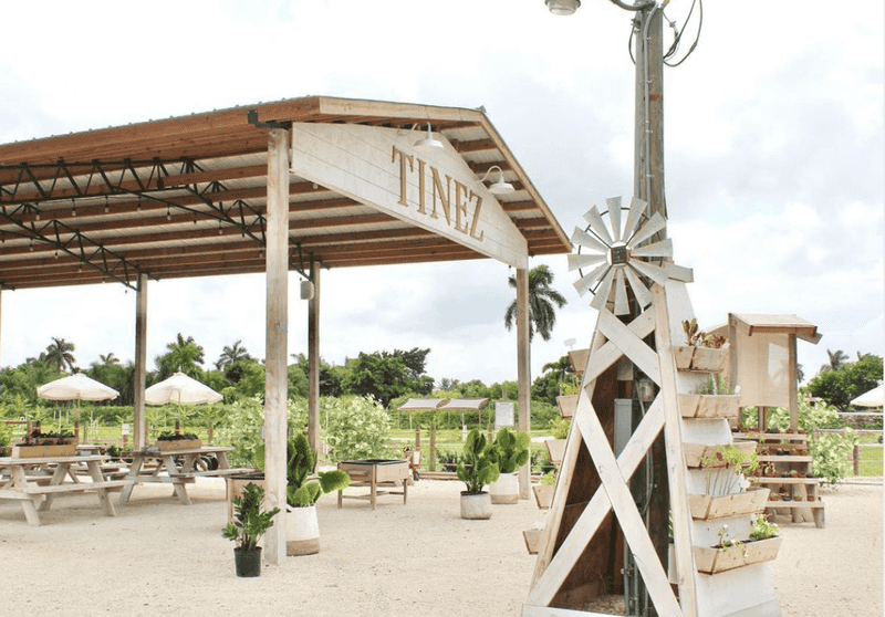 Tinez Farms - Miami