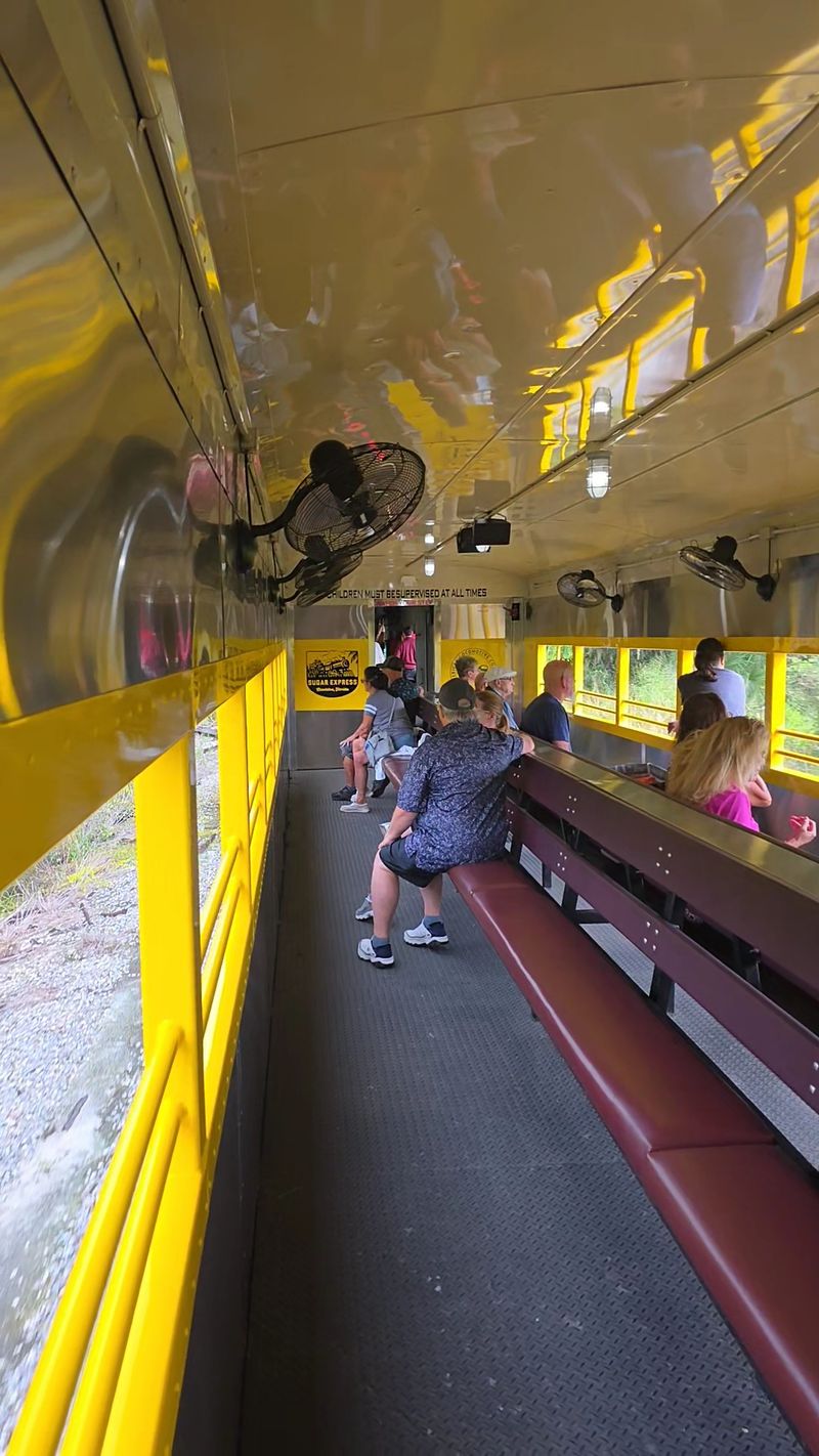 Ice Cream Train and Family Fun Rides