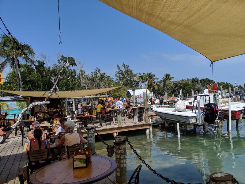 Waterfront Dining With a Front-Row Wildlife Show