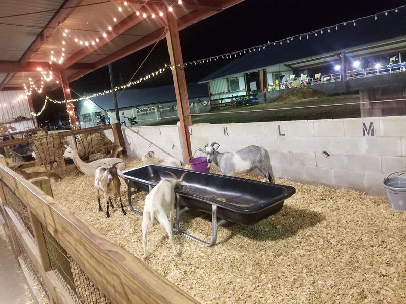 Northeast Florida Fair – Callahan
