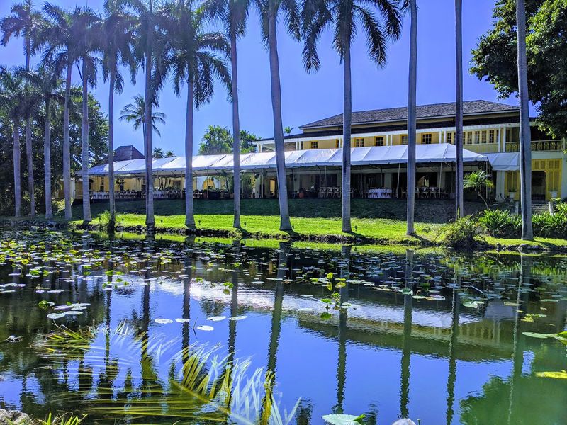 The Wildlife That Calls Bonnet House Home
