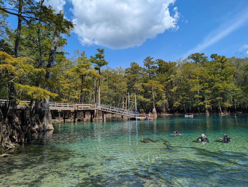 Perfect Setup for Kayaking and Paddleboarding Adventures