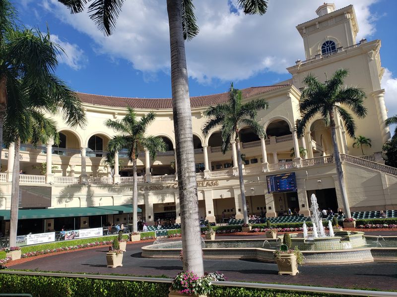 Thrilling Live Thoroughbred Racing