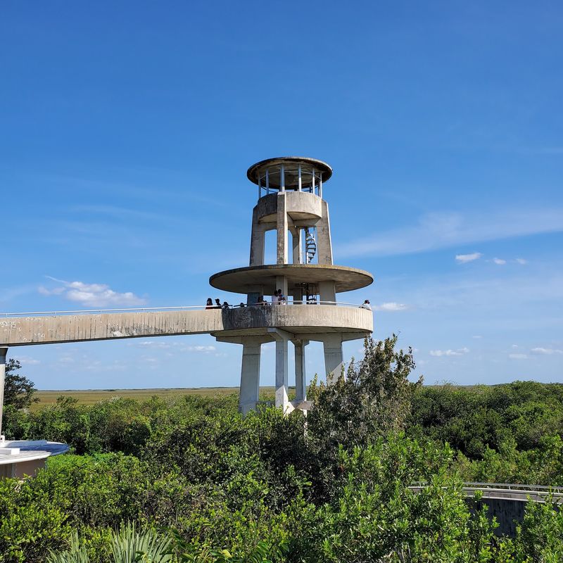Shark Valley Tram Trail - Everglades National Park