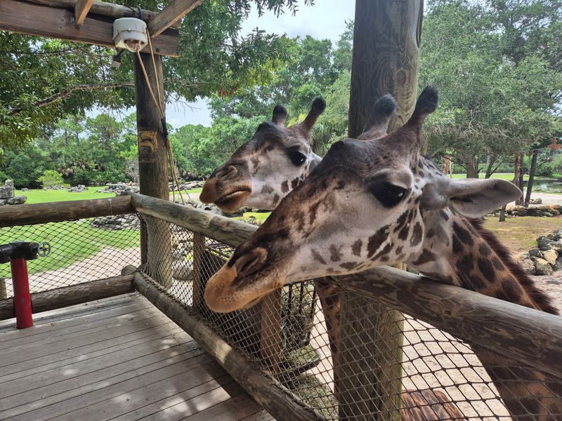 Brevard Zoo - Melbourne