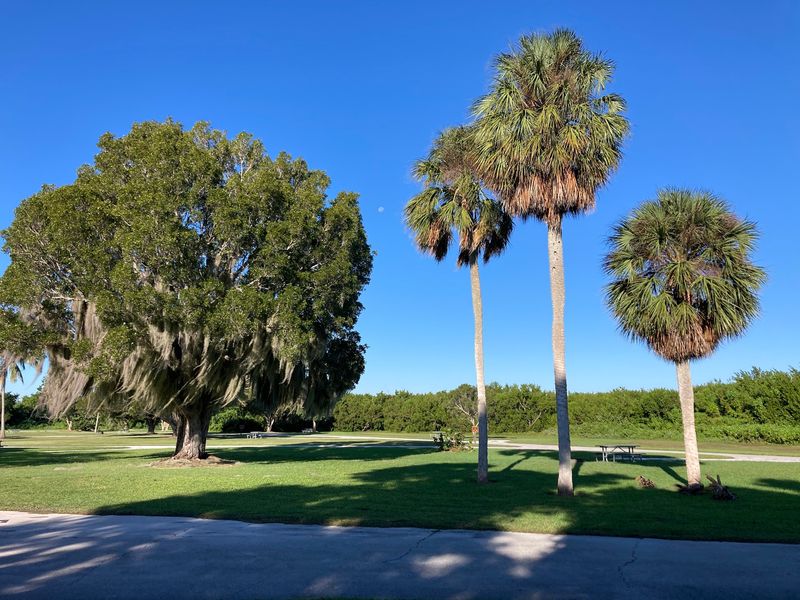 Flamingo Campground - Homestead