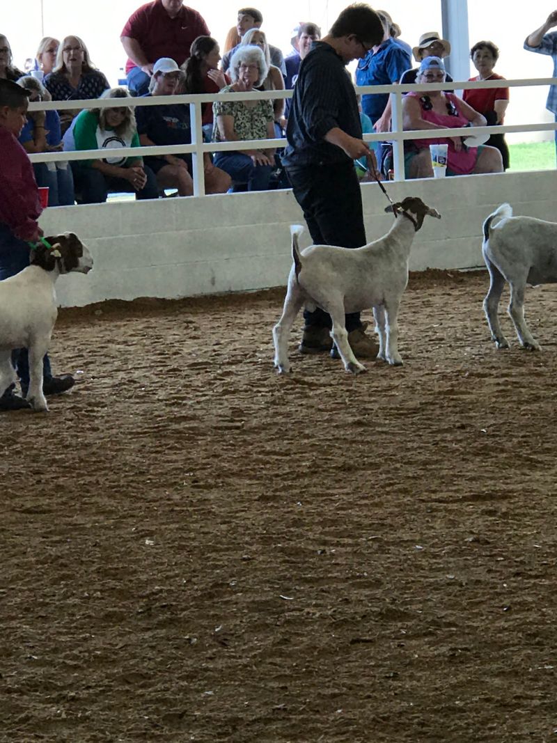 Florida Gateway Fairgrounds – Lake City