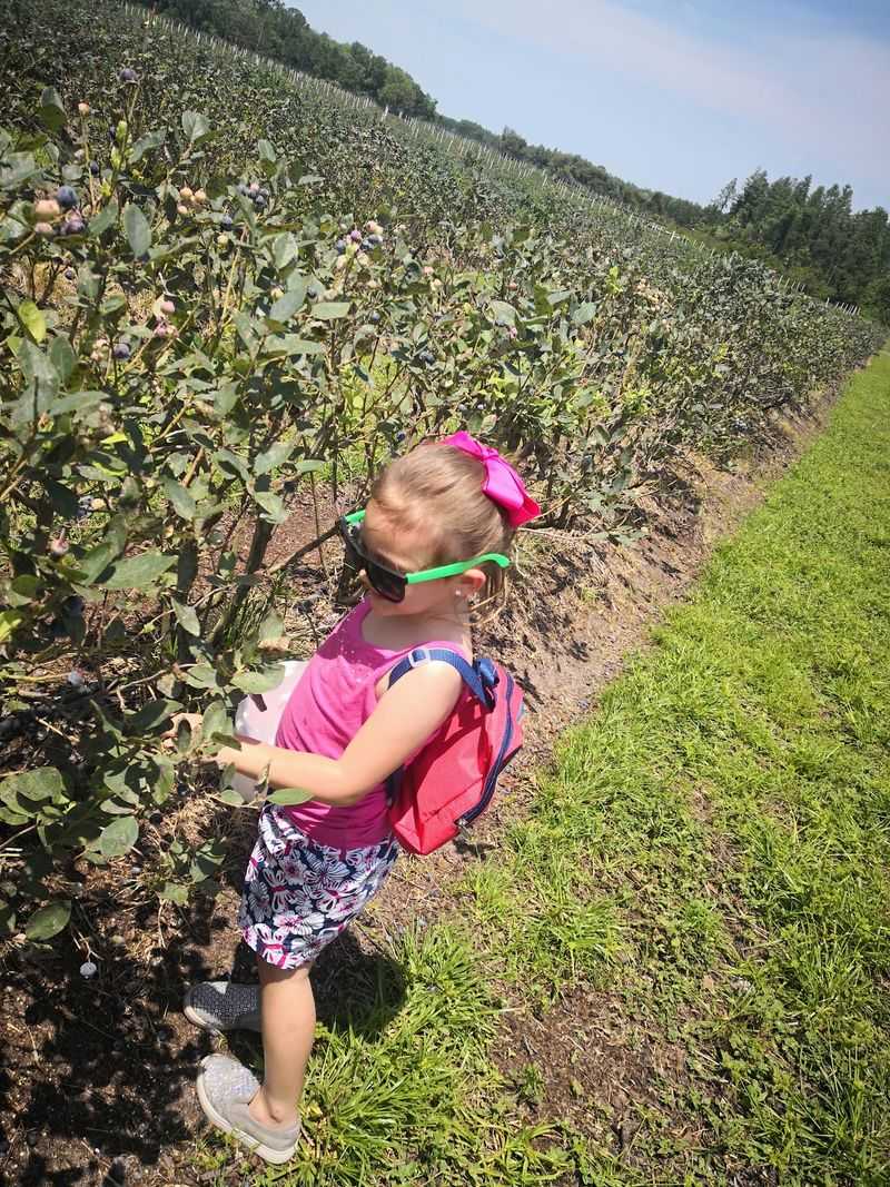 Educational Farm Tours for Schools and Homeschool Groups