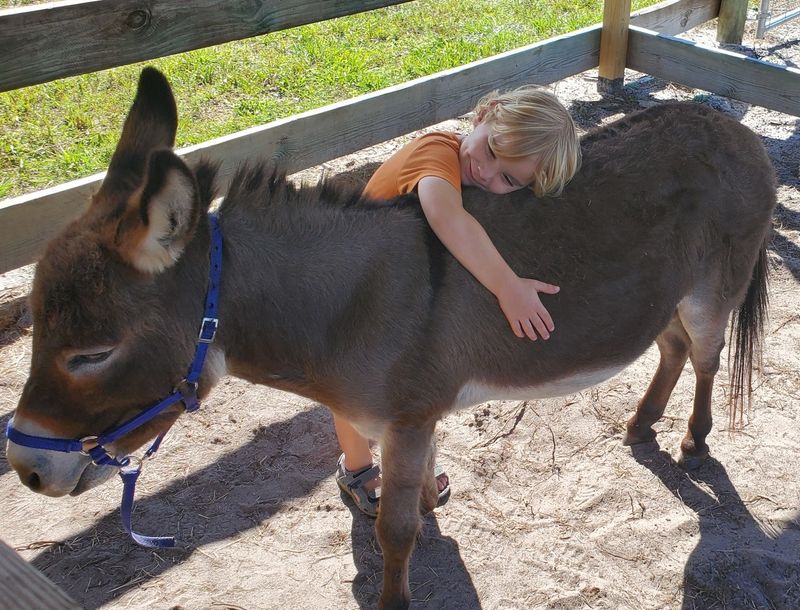 Harris Establishment Farms - U-Pick & Farm Adventures - Palm Bay