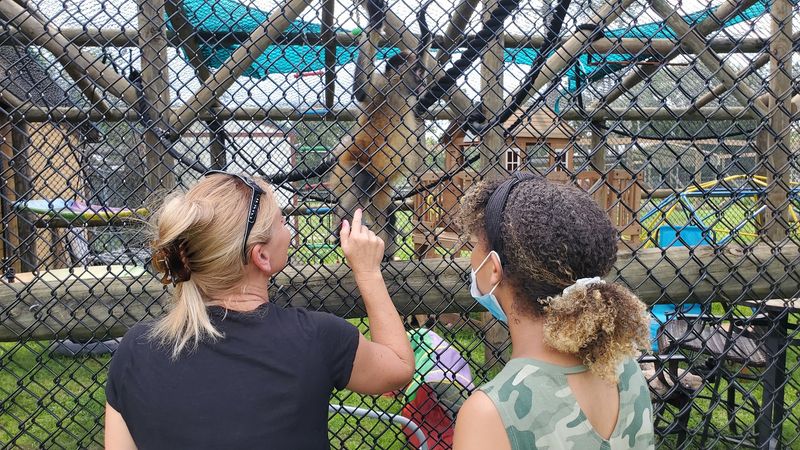 Exotic Animal Experience - Orlando