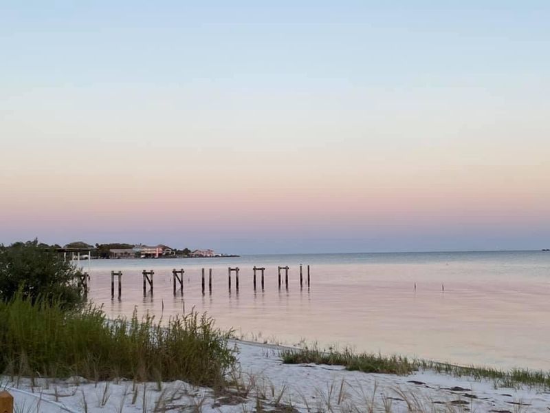 Cedar Key Scrub State Reserve - Cedar Key