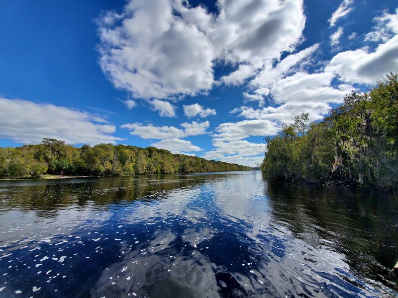 The Ocklawaha River Before the Flood