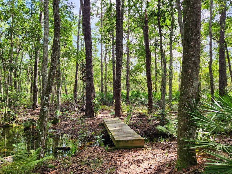 Florida Trail Panorama Trailhead - Oviedo
