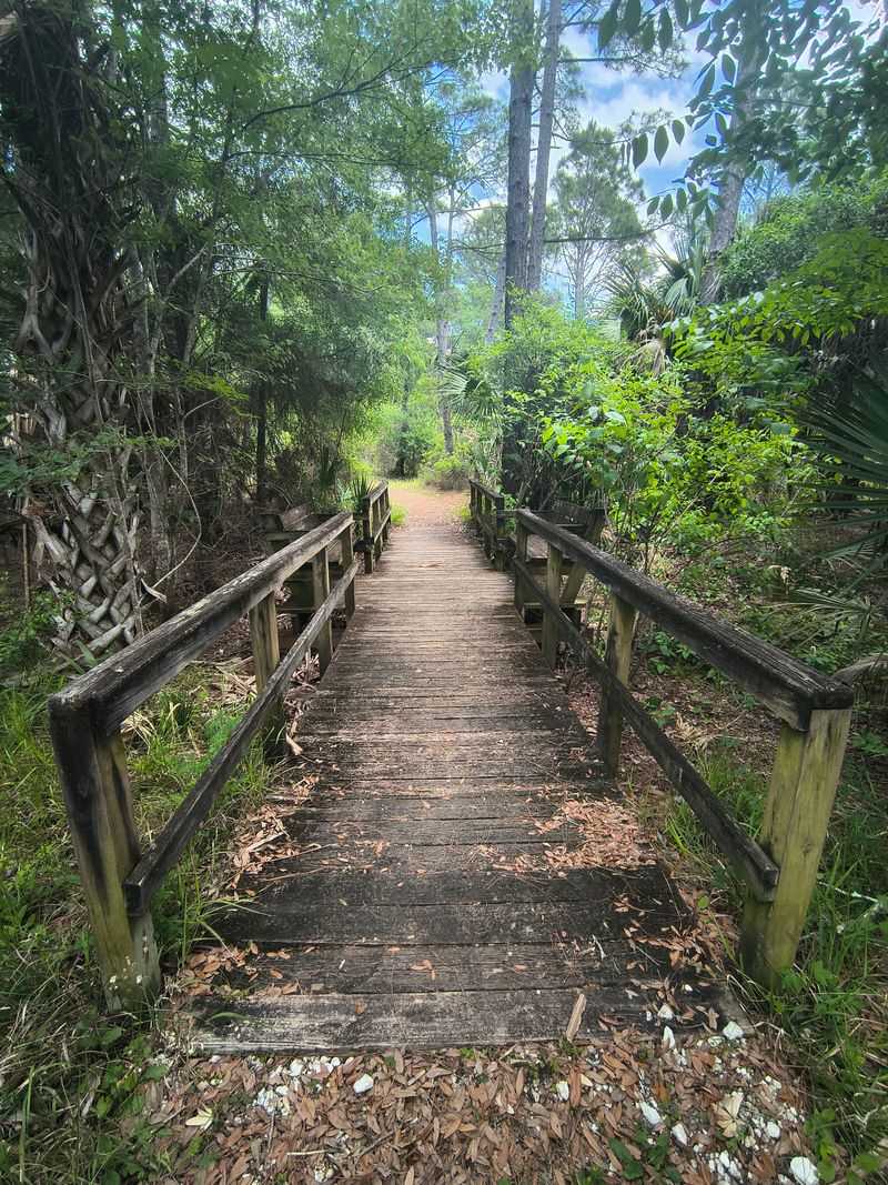 Eco-Walk Trailhead Crystal River Preserve State Park - Crystal River