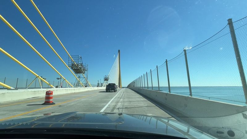 Those Iconic Golden Cables That Shimmer in the Sun