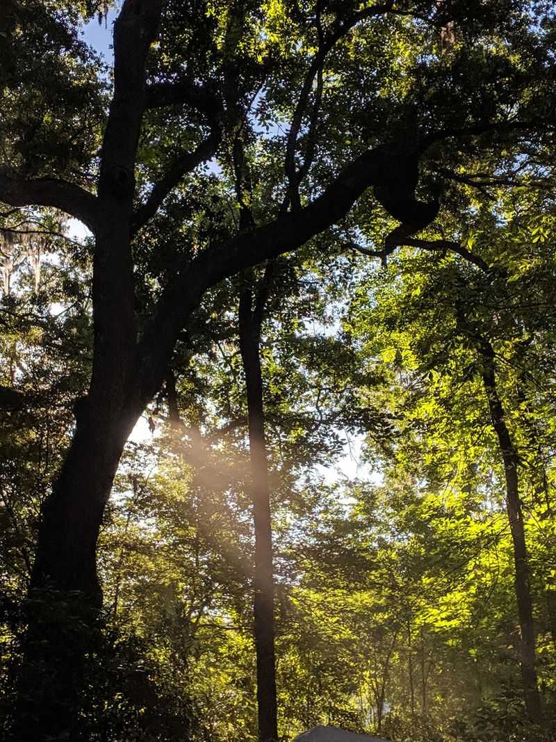 Weekday Visits Offer Peaceful Experience Without Crowds
