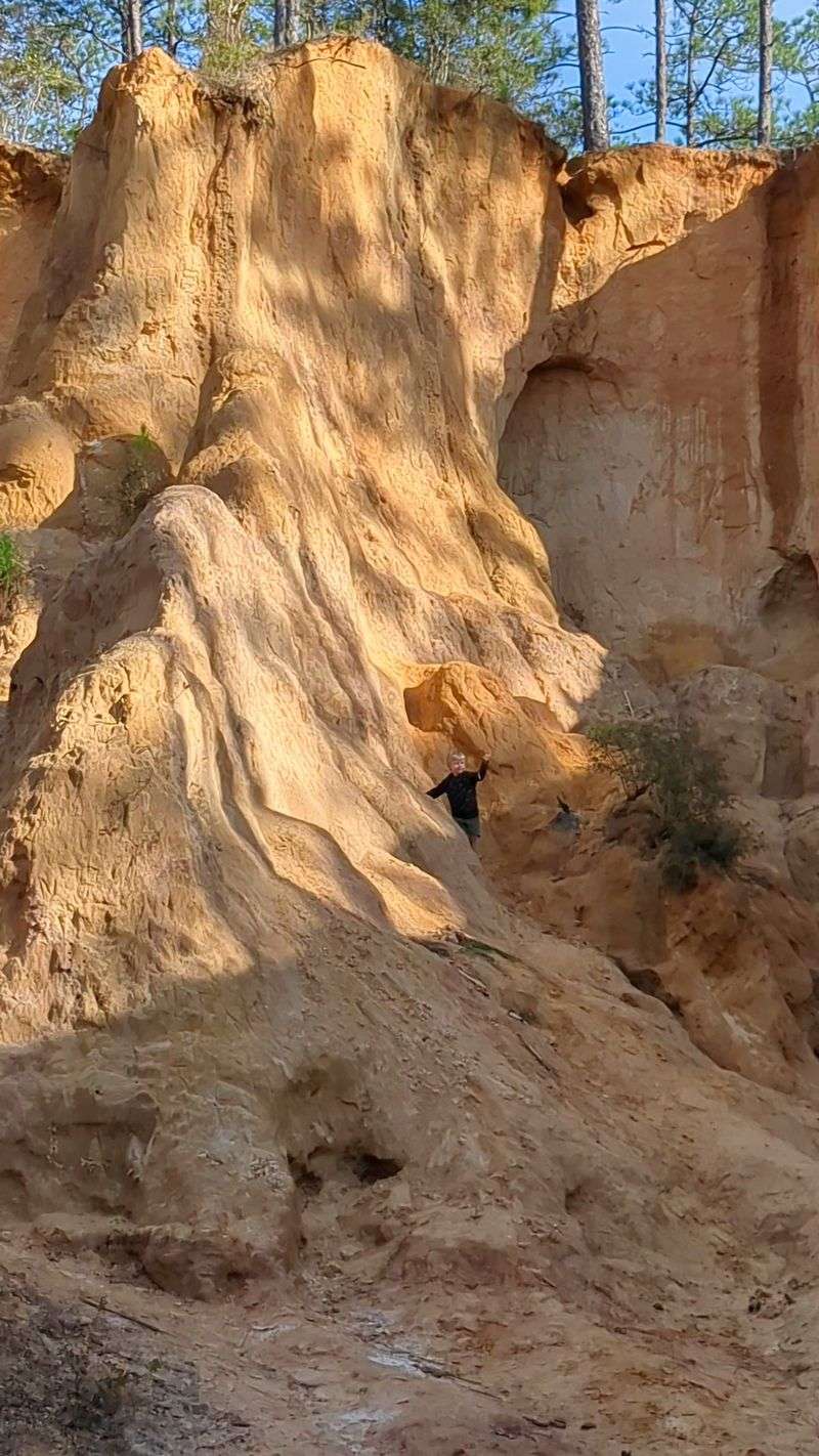 Red Clay Cliffs Of Florida Trail - Holt