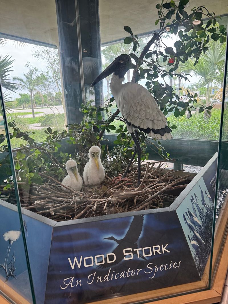 Educational Exhibits That Actually Teach You About The Ecosystem