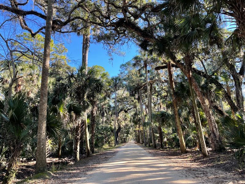 The Winding Nature Trails Through Coastal Hammock