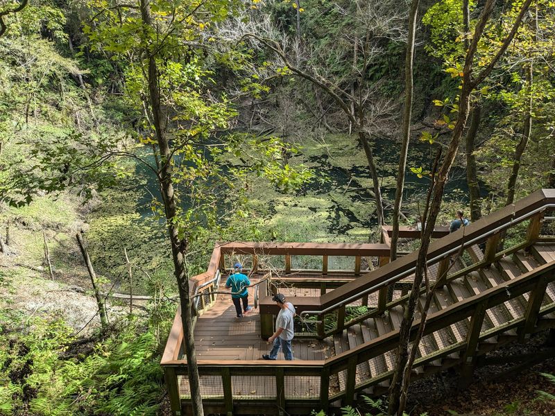 Devil's Millhopper Geological State Park - Gainesville