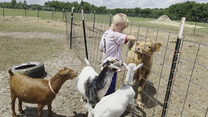Discover Baby Animals and Seasonal Surprises Throughout the Year