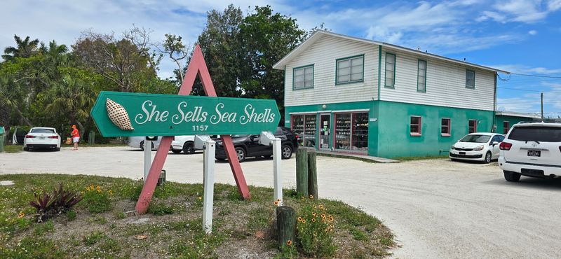 She Sells Sea Shells - Sanibel