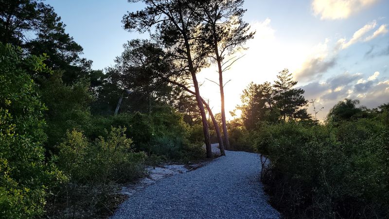 Hobe Mountain Trail - Hobe Sound