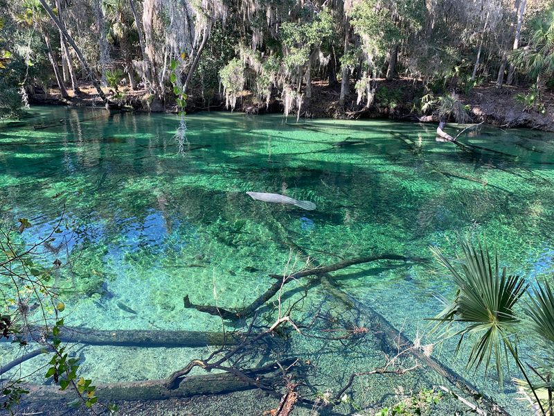 Blue Spring State Park - Orange City